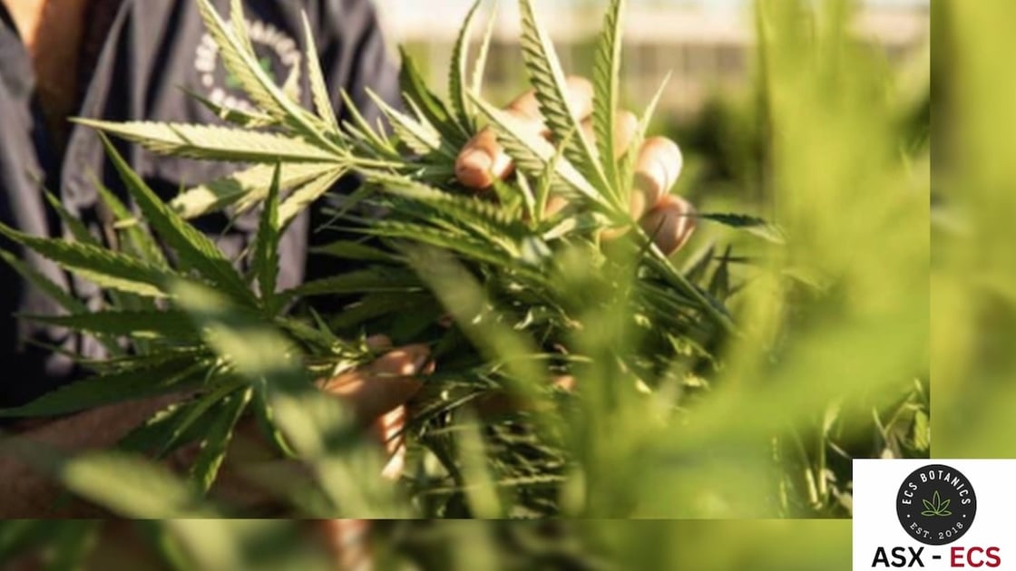 thumbnailify.com_youtube_thumbnail_Full_HD_2026-02-26_04-55-48